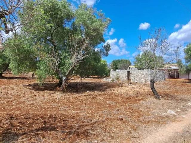 Terreno in vendita a Puglia, Brindisi