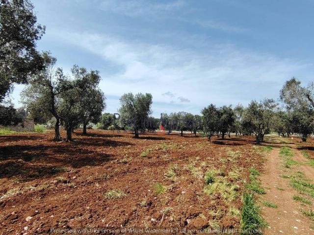 Terreno in vendita a Puglia, Brindisi