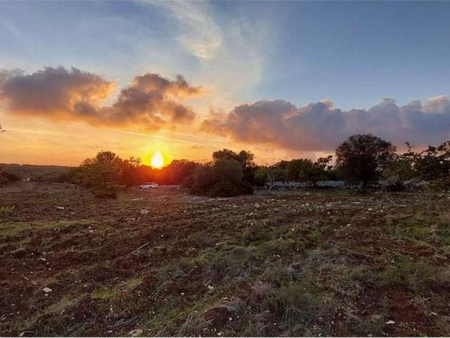 Terreno in vendita a Puglia, Brindisi