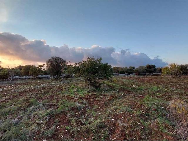 Terreno in vendita a Puglia, Brindisi