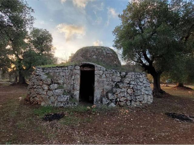 Terreno in vendita a Puglia, Brindisi