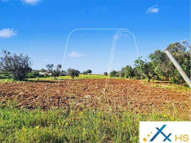 Terreno in vendita a Puglia, Brindisi
