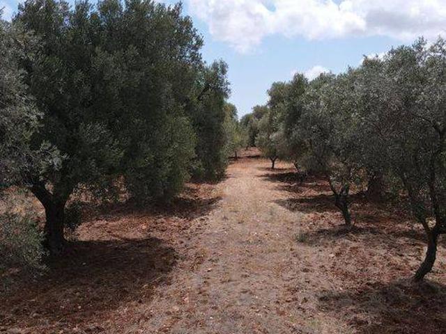 Terreno in vendita a Contrada Spierti, Puglia