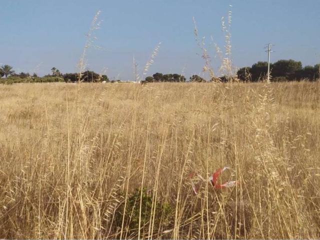 Terreno in vendita a Puglia, Brindisi