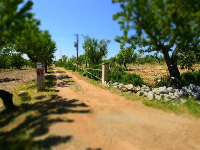 Terreno in vendita a Contrada Spierti, Puglia