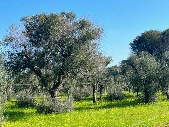 Terreno in vendita a Puglia, Brindisi