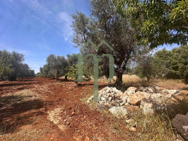 Terreno in vendita a Puglia, Brindisi