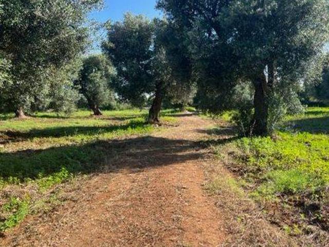Terreno in vendita a Puglia, Brindisi