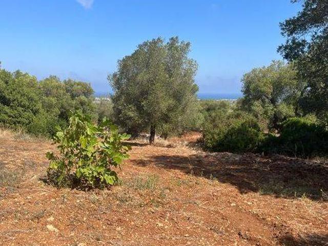 Terreno in vendita a Puglia, Brindisi