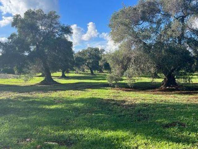 Terreno in vendita a Puglia, Brindisi