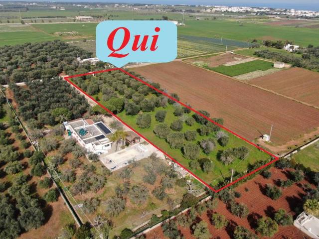 Terreno in vendita a Pantanagianni, Puglia
