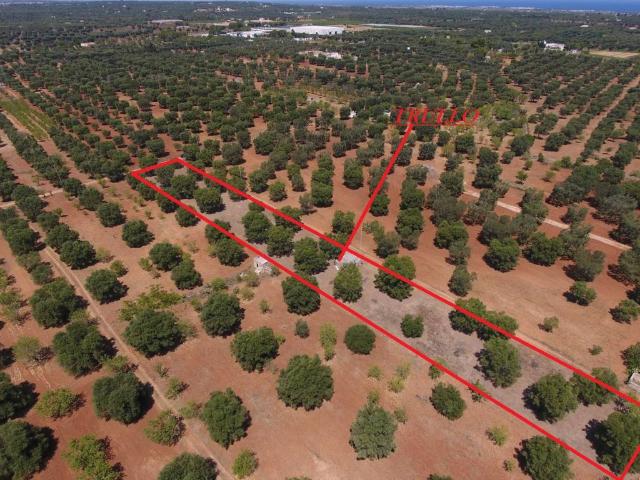 Terreno in vendita a Puglia, Brindisi