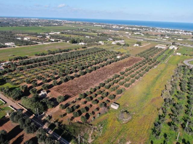 Terreno in vendita a Puglia, Brindisi
