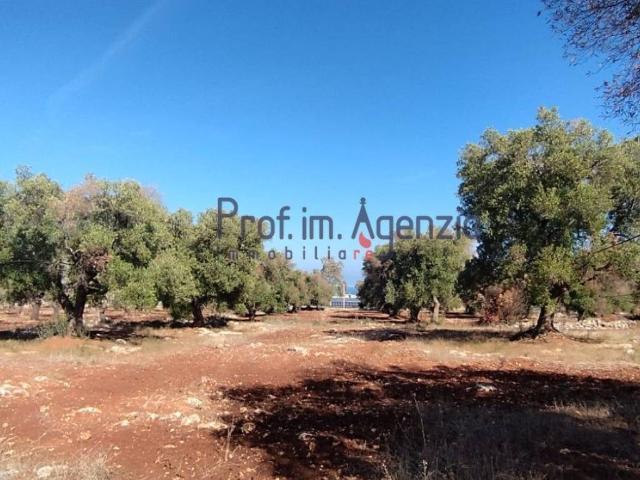 Terreno in vendita a Puglia, Brindisi