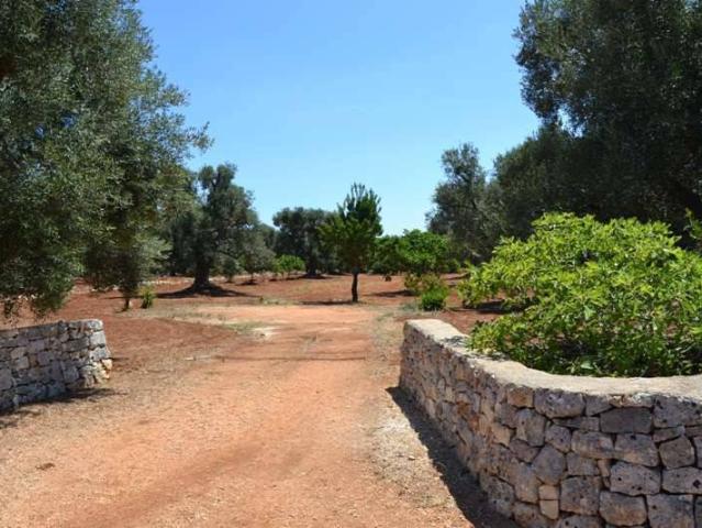 Terreno in vendita a Contrada Spierti, Puglia