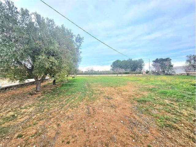 Terreno in vendita a Puglia, Brindisi