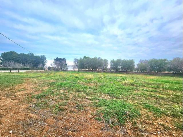Terreno in vendita a Puglia, Brindisi