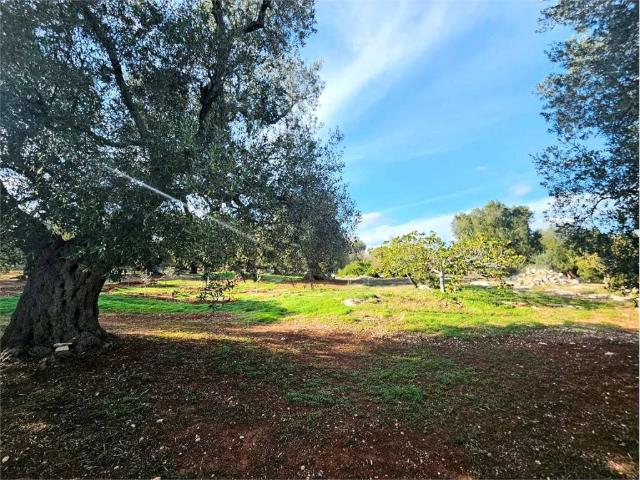 Terreno in vendita a Puglia, Brindisi