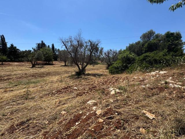 Terreno in vendita a Puglia, Brindisi