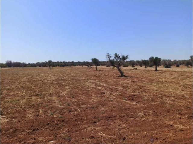 Terreno in vendita a Puglia, Brindisi