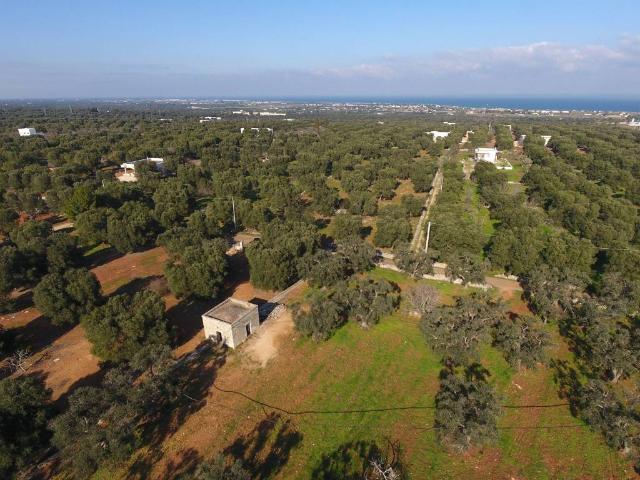 Terreno in vendita a Puglia, Brindisi
