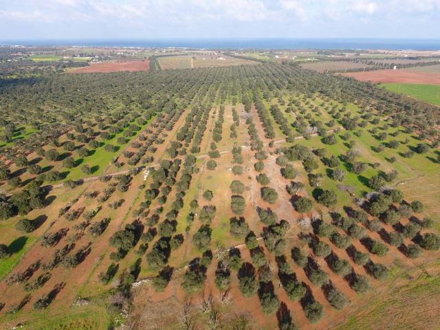 Terreno in vendita a Puglia, Brindisi