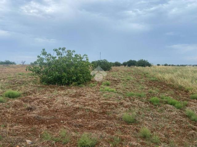 Terreno in vendita a Puglia, Brindisi