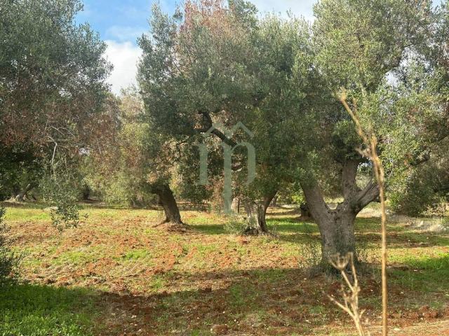 Terreno in vendita a Contrada Spierti, Puglia