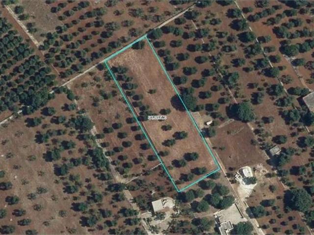 Terreno in vendita a Puglia, Brindisi
