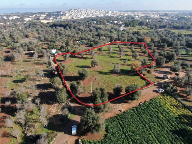 Terreno in vendita a Puglia, Brindisi
