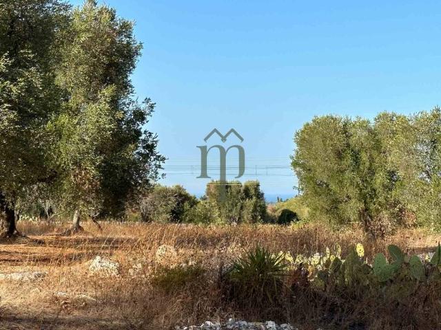 Terreno in vendita a Puglia, Brindisi