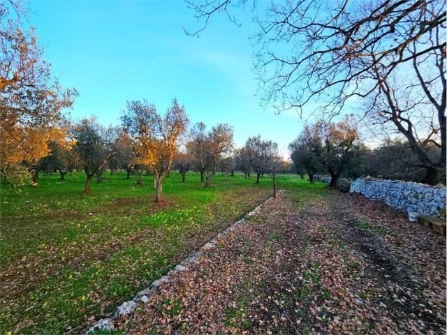 Terreno in vendita a Puglia, Brindisi