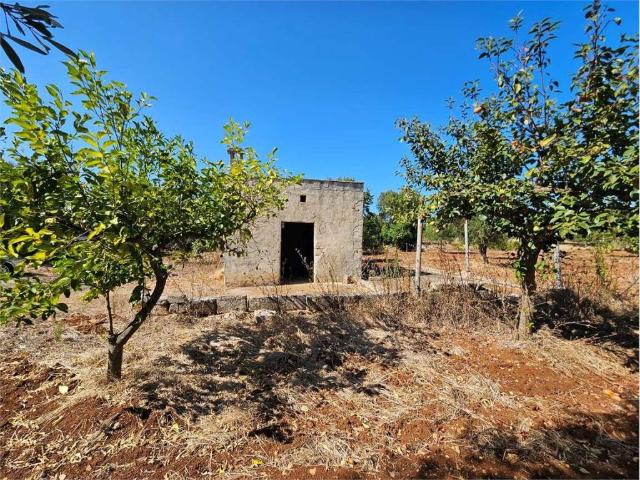 Terreno in vendita a Puglia, Brindisi
