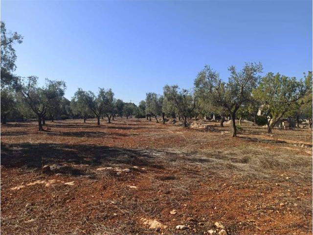 Terreno in vendita a Puglia, Brindisi