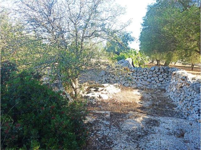 Terreno in vendita a Puglia, Brindisi