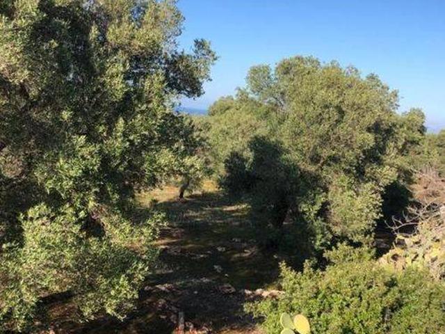 Terreno in vendita a Puglia, Brindisi