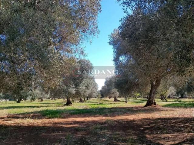 Terreno in vendita a Puglia, Brindisi