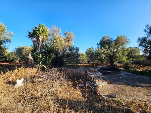 Terreno in vendita a Puglia, Brindisi
