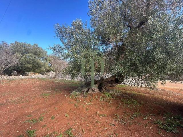 Terreno in vendita a Contrada Spierti, Puglia