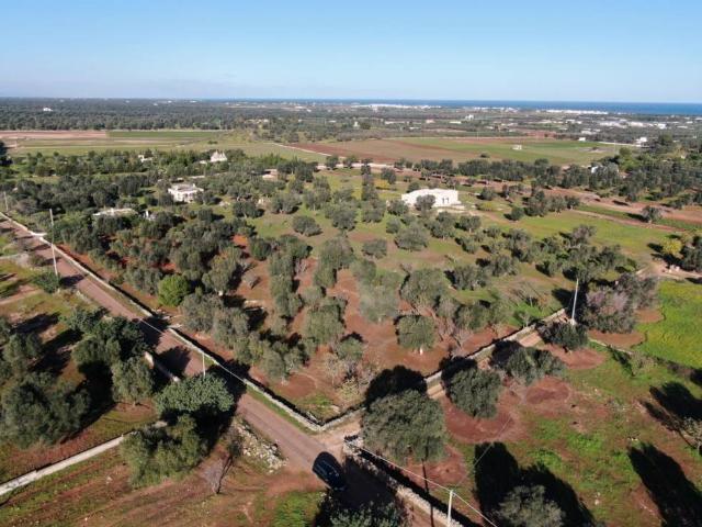 Terreno in vendita a Puglia, Brindisi