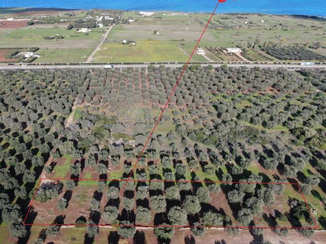 Terreno in vendita a Puglia, Brindisi