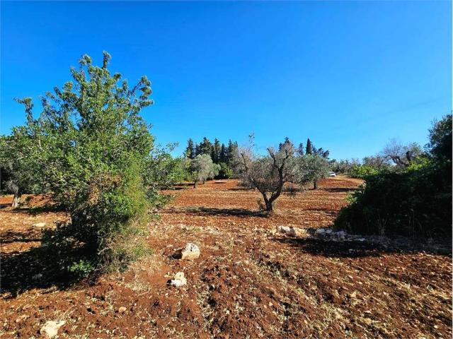 Terreno in vendita a Puglia, Brindisi