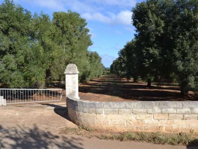 Terreno in vendita a Puglia, Brindisi