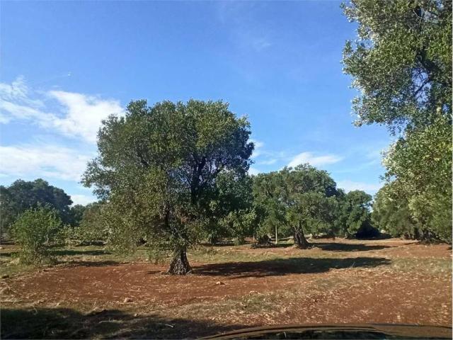 Terreno in vendita a Puglia, Brindisi