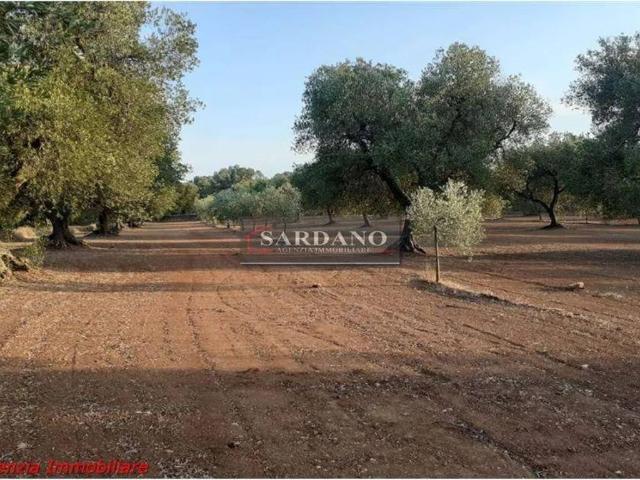 Terreno in vendita a Puglia, Brindisi