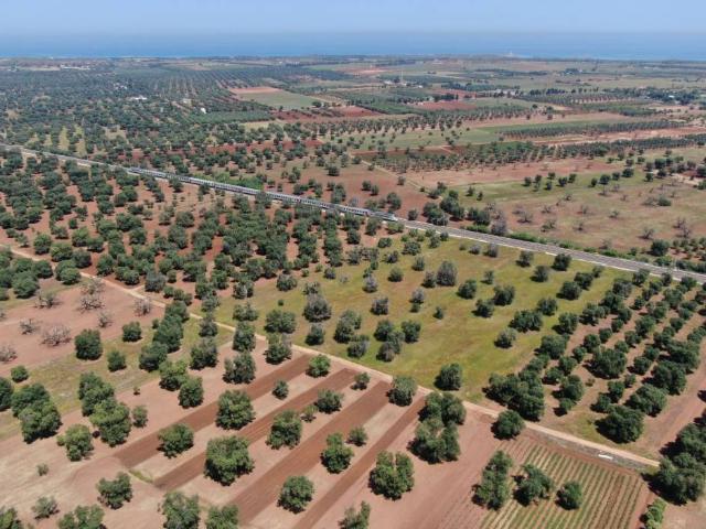 Terreno in vendita a Puglia, Brindisi