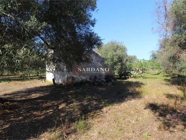 Terreno in vendita a Puglia, Brindisi