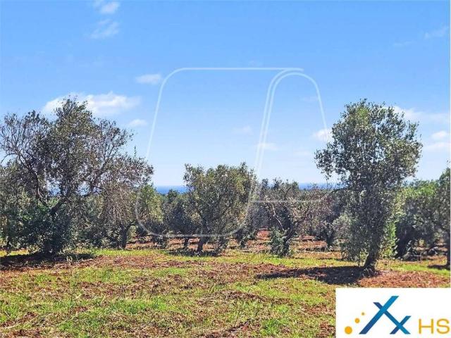 Terreno in vendita a Puglia, Brindisi