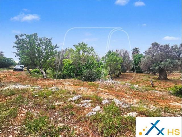 Terreno in vendita a Puglia, Brindisi