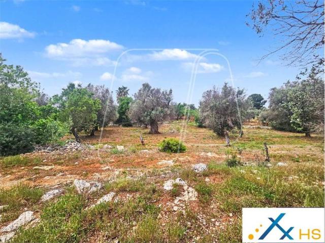 Terreno in vendita a Puglia, Brindisi